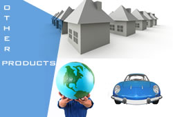 Other Insurance Products